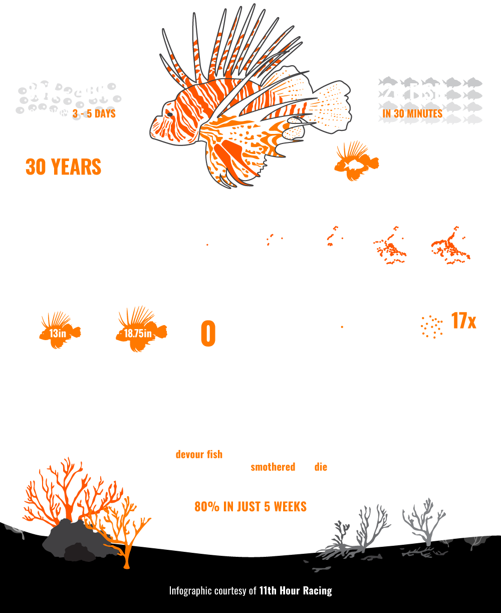 Infographic-RISE-3